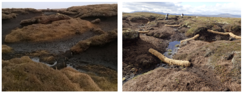 naturescot-research-report-1259-a-risk-based-approach-to-peatland